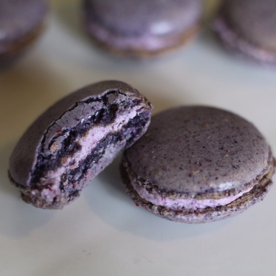 Blueberry Cheesecake Macarons