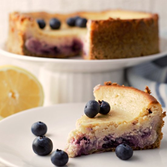 Lemon Blueberry Cheesecake