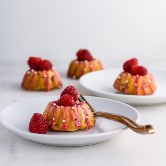 Raspberry Rhubarb Mini Bundt Cakes