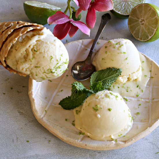 Creamy Lime Coconut Ice Cream