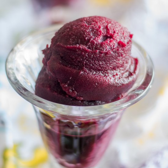 Red Wine Hibiscus Sorbet