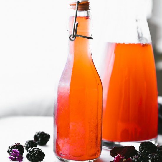 Homemade Fruit Kvass