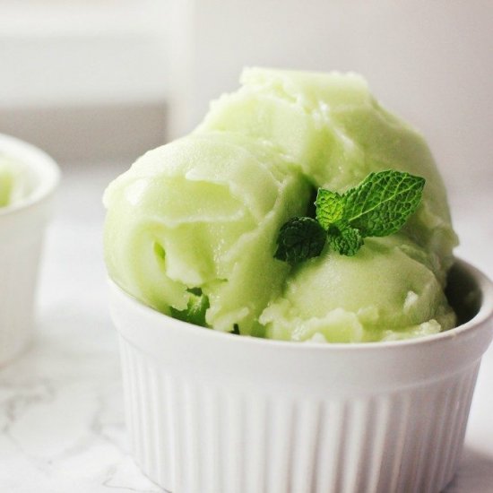 Easy Honeydew Sorbet