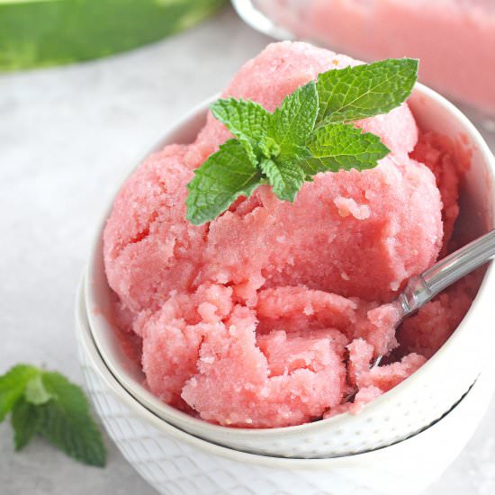 Watermelon Miny Sorbet