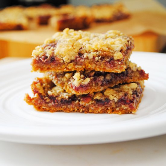 Raspberry Oat Bars