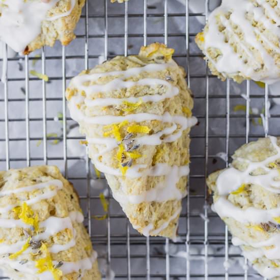 Lemon Lavender Scones