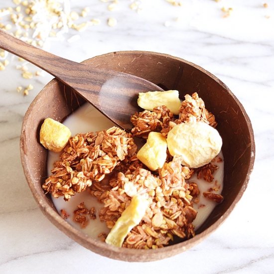 Vegan Nut Free Tropical Granola