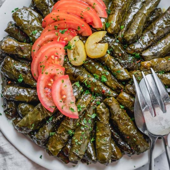 Vegetarian Stuffed Grape Leaves