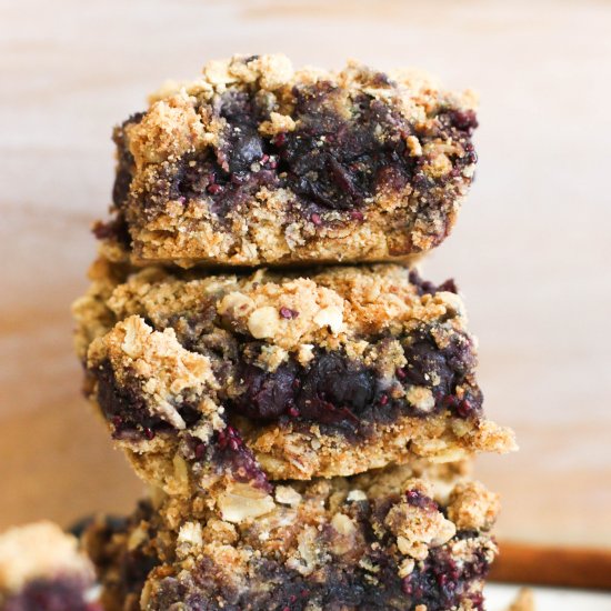 Blueberry Oat Crumble Bars