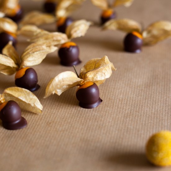 Chocolate Dipped Physalis Berries