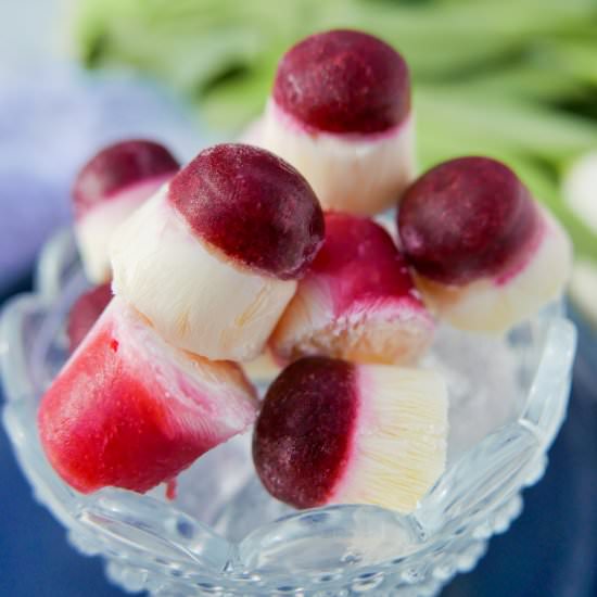 Frozen Fruit Yoghurt Bombs