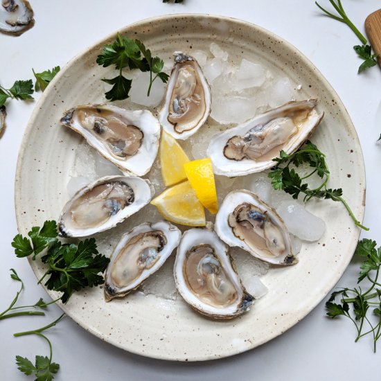 Oysters