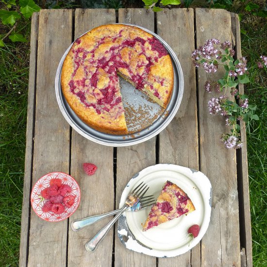 Raspberry Swirl Spelt Sponge Cake