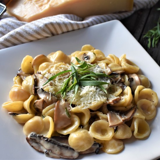 Portobello Mushroom Pasta