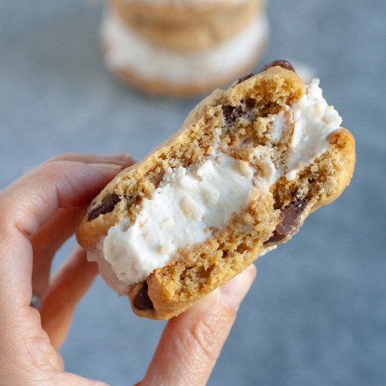 Coconut Chocolate Chip Ice Cream