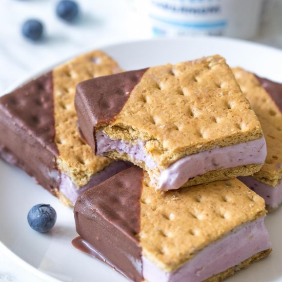 Blueberry Cardamom Frozen Sandwiche