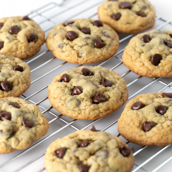 Chewy Chocolate Chip Oatmeal Cookie