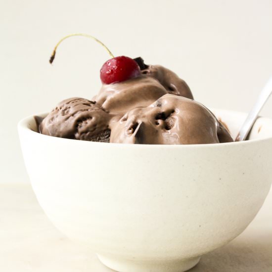 No-Churn Mocha Ice Cream