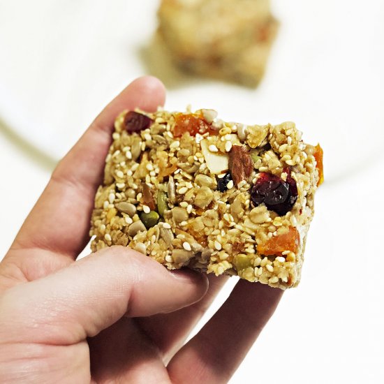 Healthy Birdseed Bar