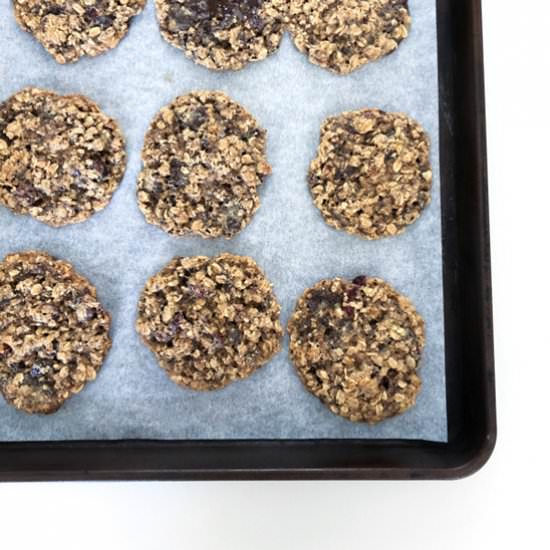 Dark Chocolate Chunk Oatmeal Cookie