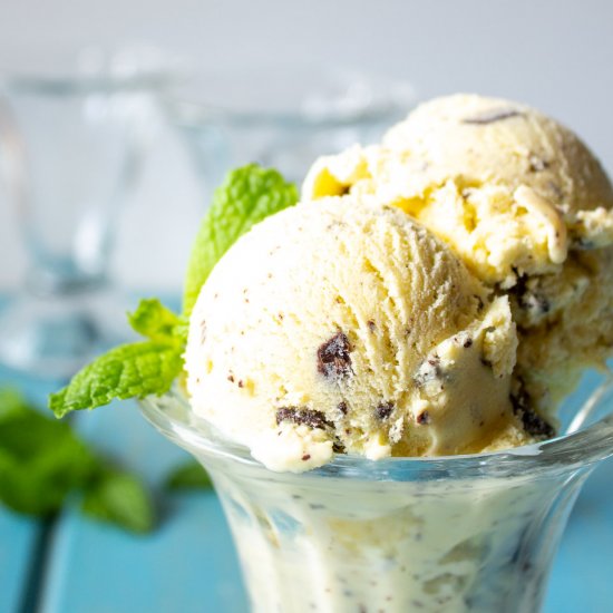 Mint Dark Chocolate Chip Ice Cream