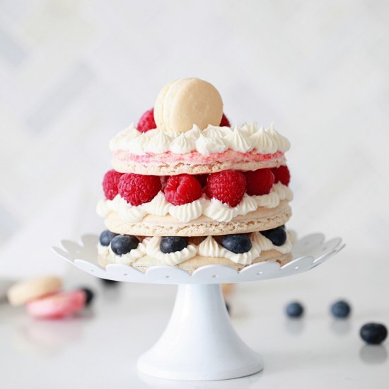 Petite Berry Macaron Cake