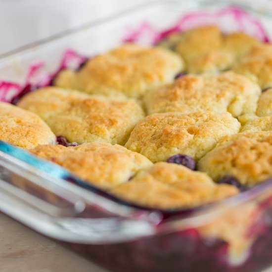 Blueberry Cobbler