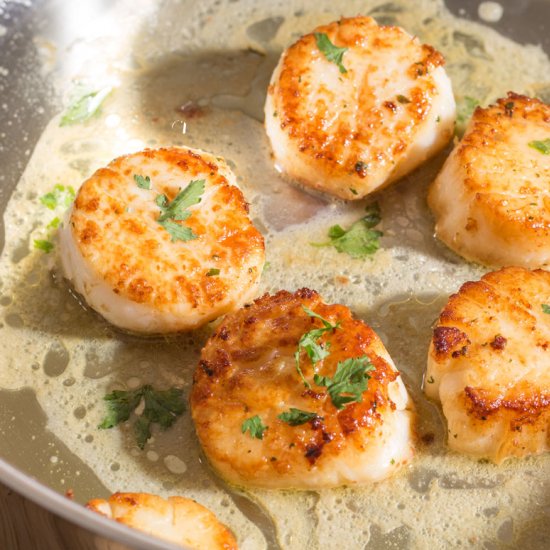 Easy Pan Seared Scallops