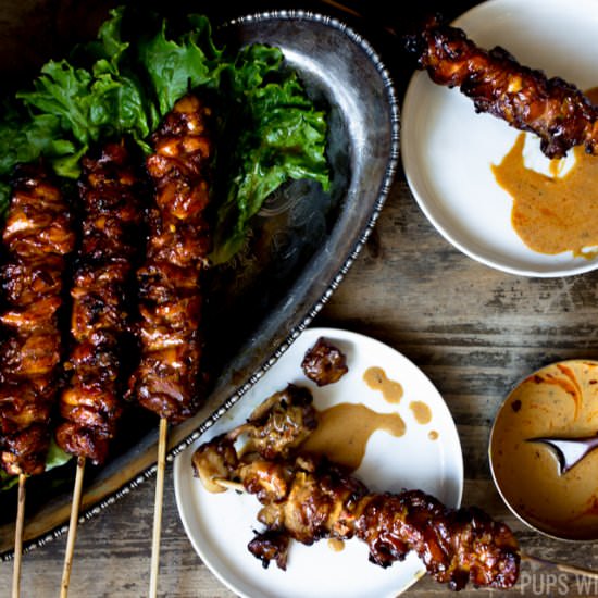 Grilled Chicken Skewers