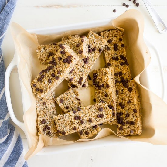 Vegan Protein Bars