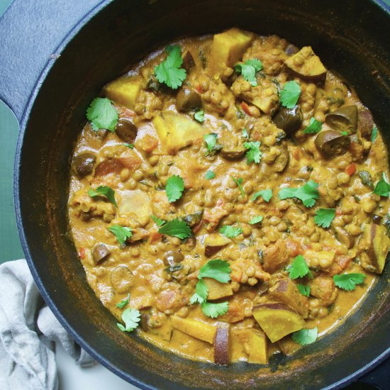 SWEET POTATO & LENTIL CURRY