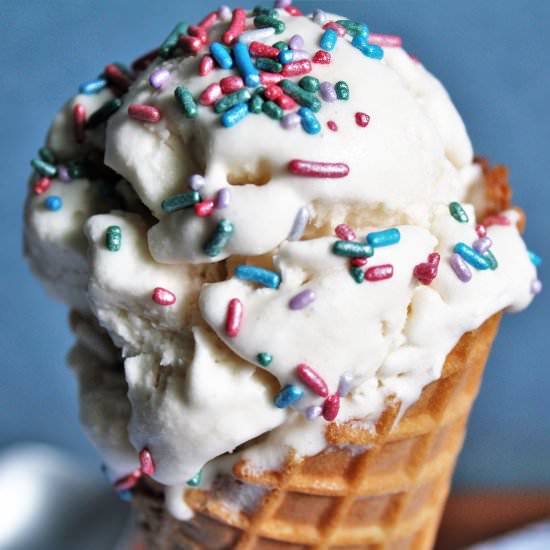 No Churn Vegan Ice Cream