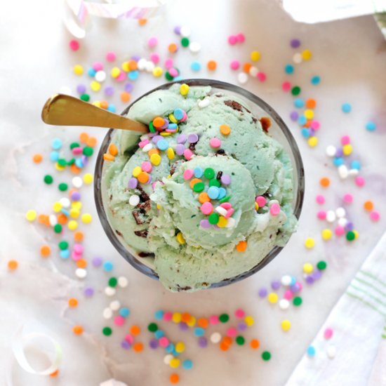 Leafy Green Chocolate Mint Sherbert