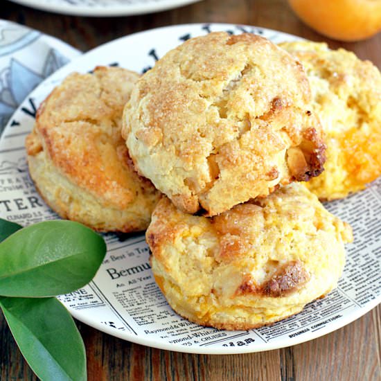 Fresh Apricot Scones