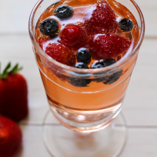 Berry Apple Cider Vinegar Spritzer