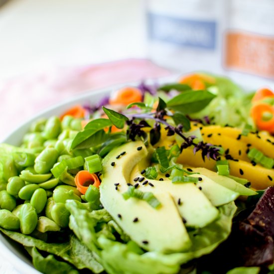 Korean Bulgogi Beef Salad Bowl