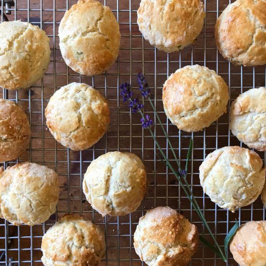 Lavender Scones