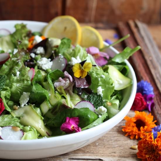 Marinated Zucchini Summer Salad