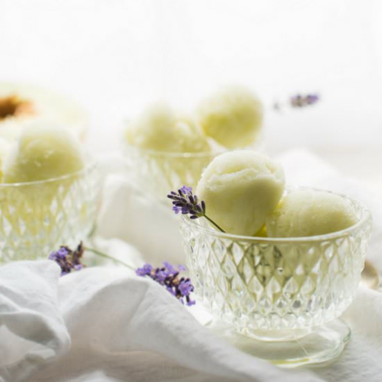 Honeydew Lavender Sorbet