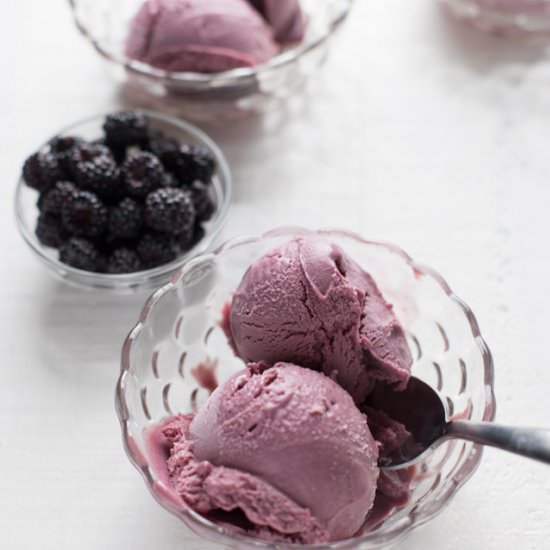 Black Raspberry Gelato