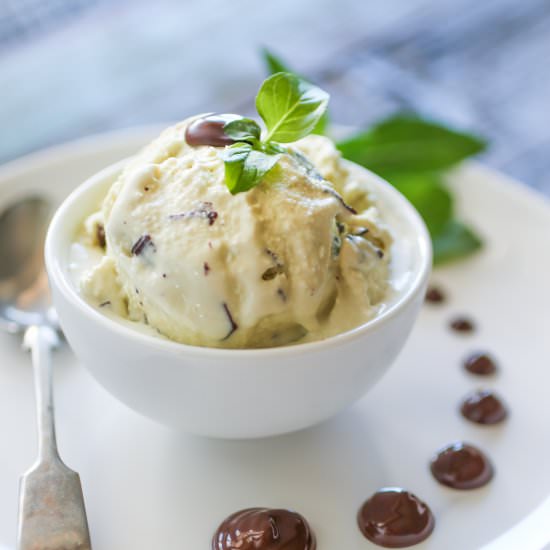 Mint Chocolate Chip Ice Cream