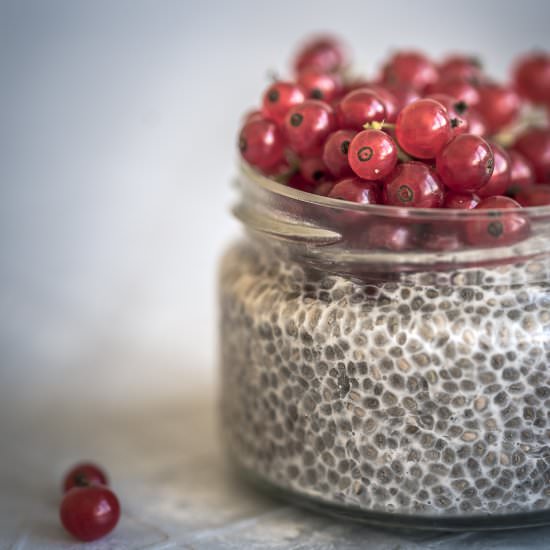 TRAVEL BREAKFAST CHIA PUDDING