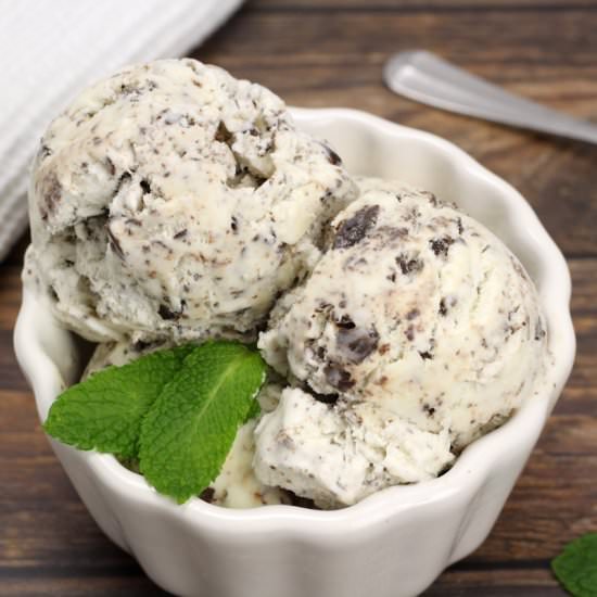 Mint Chocolate Chip Ice Cream