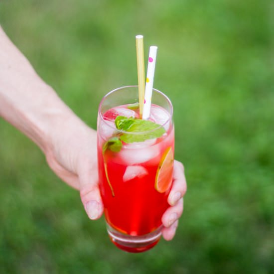 Cranberry Mojito