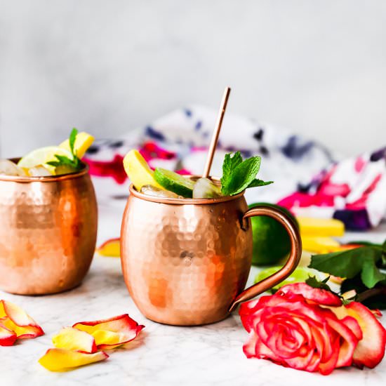 Mango Moscow Mules