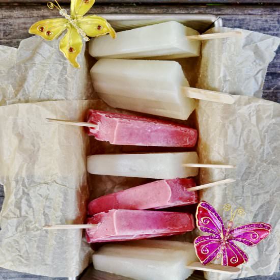 Summer Fruit Popsicles