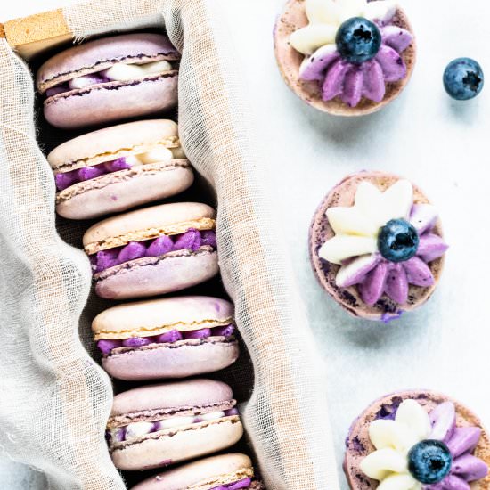 Blueberry Macarons