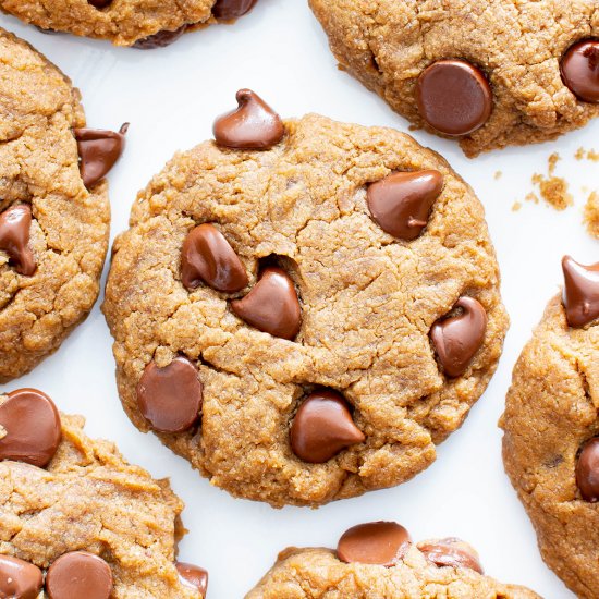 Peanut Butter Chocolate Chip Cookie