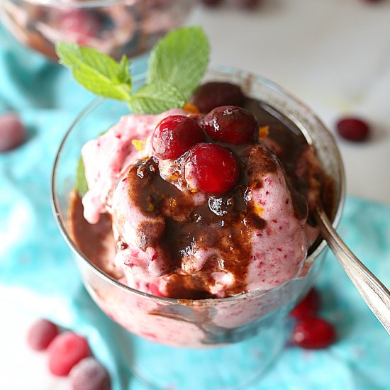 Cranberry Ice Cream