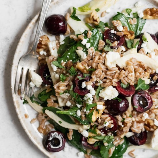 Farro, Cherry, & Fennel Salad